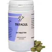 Holisan Trifagul