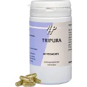 Holisan Tripura