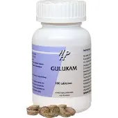 Holisan Gulukam 100 tabletten