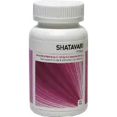 Ayurveda Health Shatavari