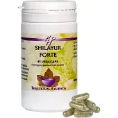 Holisan Shilayur Forte Capsules