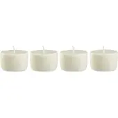 Blomus Frable refill set van 4 D5cm agave