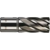Milwaukee FREESKROON HSS 20 X 30 MM
