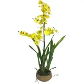 Nova Nature Oncidium Malibu in pot yellow 90cm