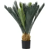 Coco Maison Cycas revoluta 90cm