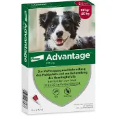 Advantage Anti Vlooiendruppels 250 Hond 10 - 25 kg 4 pipetten