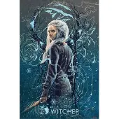 Pyramid The Witcher Ciri the Swallow Poster 61x91,5cm