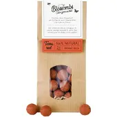 Blossombs Zaadbommetjes in Kraft Zak - 50 Bloembommetjes - Terracotta Rood - Cadeau voor Vlinders en Bijen
