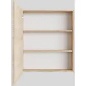Boss & Wessing Spiegelkast BWS Cube 60x70x16 cm 1 Deur Washed Oak