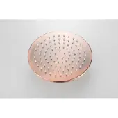 Boss & Wessing Hoofddouche bws vision rond 20 cm geborsteld koper