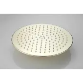 Boss & Wessing Hoofddouche bws vision rond 30 cm mat goud