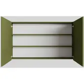 Boss & Wessing Spiegelkast bws cube 120x70x16 cm 2 deuren groen