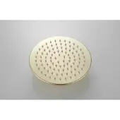 Boss & Wessing Hoofddouche bws vision rond 20 cm mat goud