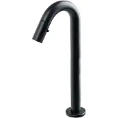 Plieger Lupo 2.0 Toiletkraan – Opbouw fonteinkraan – Verhoogd model – Uitloop 20.3 cm – 10 jaar garantie – Mat zwart