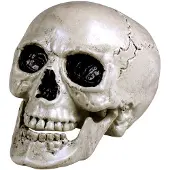 Merkloos Horror decoratie schedel beweegbare kaak - 20 x 15 cm - Halloween - Feestdecoratievoorwerp