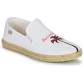 Citrouille et compagnie Ballerina's OWAT kind 31