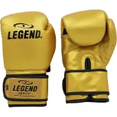 Legend Sports Powerfit & Protect Bokshandschoenen Heren/Dames Goud PU