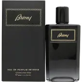 Brioni Eau de Parfum Intense 100ml | Heren Parfum