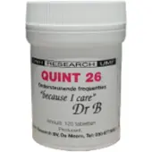 Dnh Quint 26