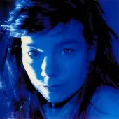 Ginza.se Björk - Telegram (LP)