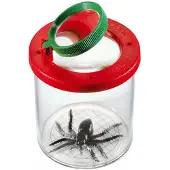 Carletto Deutschland insectenpot met spin junior 7,5 cm transparant 2-delig