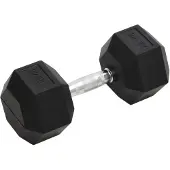 vidaXL Halters 22,5 kg gietijzer