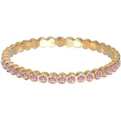 Ixxxi Vulring Small Circle Stone Pink