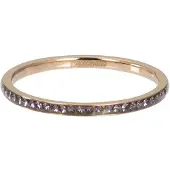 Ixxxi Vulring Zirconia Tanzantie Rosé Goud