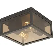 QAZQA Plafondlamp zwart met smoke glas 2-lichts IP44 - Charlois