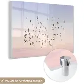 MuchoWow Glasschilderij 90x60 cm - Schilderij acrylglas - Vogels - Zee - Lucht - Natuur - Zomer - Foto op glas - Schilderijen