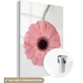 MuchoWow Glasschilderij 60x80 cm - Schilderij acrylglas - Bloem - Roze - Natuur - Plant - Foto op glas - Schilderijen