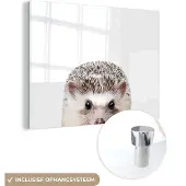 MuchoWow Glasschilderij 120x90 cm - Schilderij acrylglas - Egel - Dieren - Natuur - Wit - Foto op glas - Schilderijen