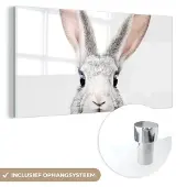 MuchoWow Glasschilderij 80x40 cm - Schilderij acrylglas - Konijn - Dieren - Natuur - Wit - Foto op glas - Schilderijen