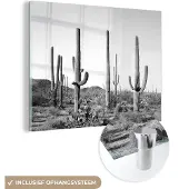MuchoWow Glasschilderij 160x120 cm - Schilderij acrylglas - Cactussen - Zwart wit - Natuur - Landschap - Foto op glas - Schilderijen