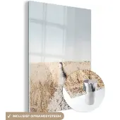 MuchoWow Glasschilderij 120x160 cm - Schilderij acrylglas - Pad - Zand - Planten - Natuur - Foto op glas - Schilderijen