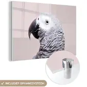 MuchoWow Glasschilderij 30x20 cm - Schilderij acrylglas - Papegaai - Grijs - Dieren - Natuur - Foto op glas - Schilderijen
