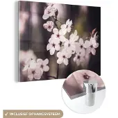 MuchoWow Glasschilderij 160x120 cm - Schilderij acrylglas - Bloemen - Wit - Natuur - Plant - Bloesem - Foto op glas - Schilderijen
