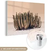 MuchoWow Glasschilderij 60x40 cm - Schilderij acrylglas - Cactus - Plant - Natuur - Groen - Foto op glas - Schilderijen