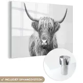 MuchoWow Glasschilderij 60x40 cm - Schilderij acrylglas - Schotse hooglander - Dieren - Hoorns - Zwart wit - Foto op glas - Schilderijen
