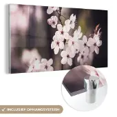 MuchoWow Glasschilderij 120x60 cm - Schilderij acrylglas - Bloemen - Wit - Natuur - Plant - Bloesem - Foto op glas - Schilderijen