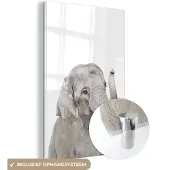 MuchoWow Glasschilderij 100x150 cm - Schilderij acrylglas - Olifant - Dieren - Grijs - Natuur - Foto op glas - Schilderijen