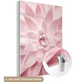 MuchoWow Glasschilderij 60x80 cm - Schilderij acrylglas - Bloem - Roze - Natuur - Plant - Foto op glas - Schilderijen