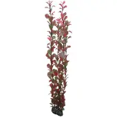 HOBBY Aquaristik Plant Ludwigia 60CM