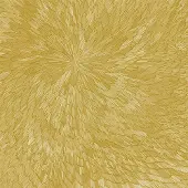 Uvm Distrib Cnt MEDNA ROSO (GOLD COLOURED VINYL)