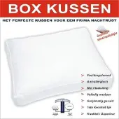 Princessdekbedden Boxkussen met zuivere spiraalvezelbolletjes