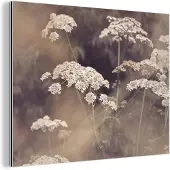 MuchoWow Wanddecoratie Metaal - Aluminium Schilderij Industrieel - Plant - Wit - Natuur - Bloemen - 80x60 cm - Dibond - Foto op aluminium - Industriële muurdecoratie - Voor de woonkamer/slaapkamer