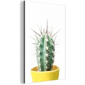 MuchoWow Wanddecoratie Metaal - Aluminium Schilderij Industrieel - Cactus - Planten - Natuur - Groen - 100x150 cm - Dibond - Foto op aluminium - Industriële muurdecoratie - Voor de woonkamer/slaapkamer