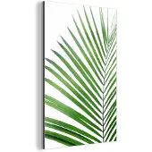 MuchoWow Wanddecoratie Metaal - Aluminium Schilderij Industrieel - Plant - Groen - Natuur - Wit - 80x120 cm - Dibond - Foto op aluminium - Industriële muurdecoratie - Voor de woonkamer/slaapkamer