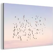 MuchoWow Wanddecoratie Metaal - Aluminium Schilderij Industrieel - Vogels - Zee - Lucht - Natuur - Zomer - 180x120 cm - Dibond - Foto op aluminium - Industriële muurdecoratie - Voor de woonkamer/slaapkamer