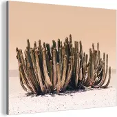 MuchoWow Wanddecoratie Metaal - Aluminium Schilderij Industrieel - Cactus - Plant - Natuur - Groen - 40x30 cm - Dibond - Foto op aluminium - Industriële muurdecoratie - Voor de woonkamer/slaapkamer